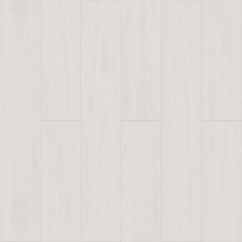 Дуб Беленый 