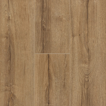 Дуб Фалкон FP1124