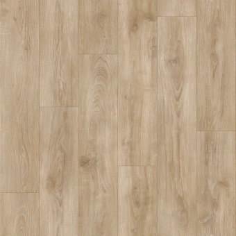 IDYLLE NOVA  MOTION 1; MOTION 2; MOTION 3