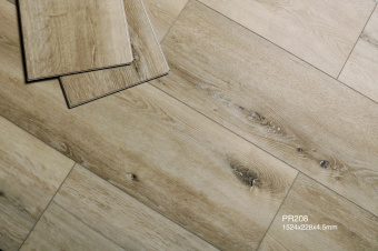 PR208  Дуб Саланген