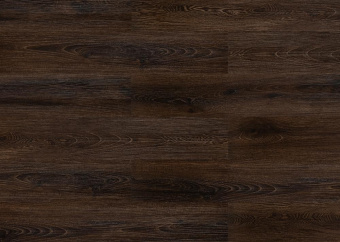 2210 Дуб африканский