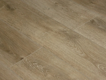 SE715 Дуб София 