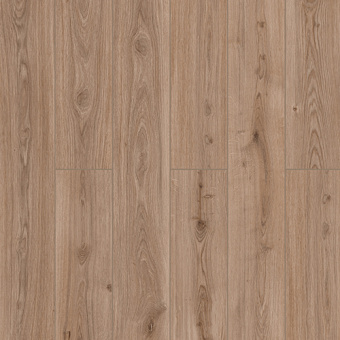 59857 Дуб Нармада