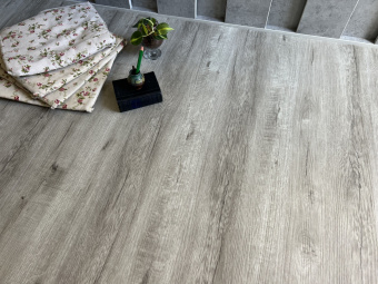 Q-16 Дуб Сохо