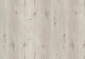 Дуб Гордон Светлый