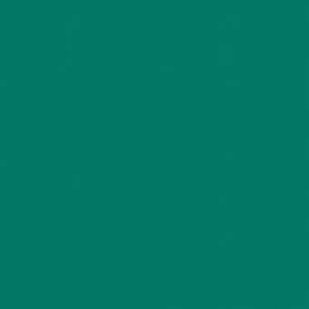 OMNISPORTS ACTION 65 FOREST GREEN