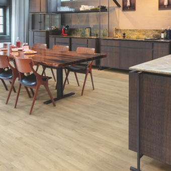 CLH 5791 Дуб песочный греш