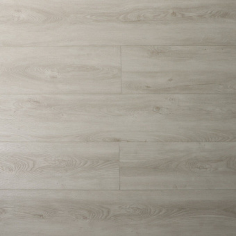 16169 Дуб Лэнгли