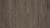 LM-19 Дуб Тиволи / Tivoli Oak   