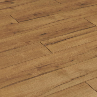 ID101 Дуб Пэйс