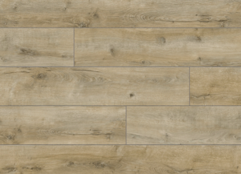 56620 Дуб Байкал