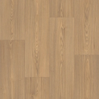 GLADIATOR ADILA 1; ADILA 2; ADILA 3