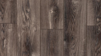  LM-09 Тис Амальфи / Amalfi Yew  