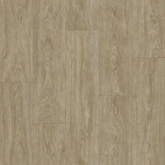 CLUB MAXIMUS 1; MAXIMUS 2