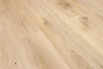 Дуб Москва А 104