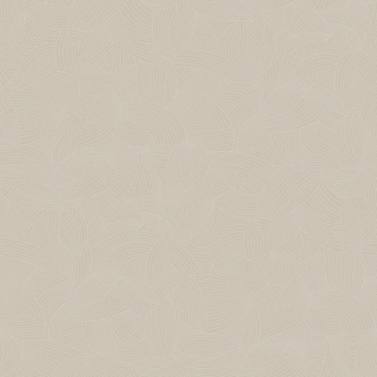 BONUS AMOS 1; AMOS 2