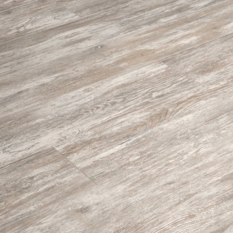 ID73 Дуб Мане