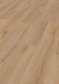 4954 ДУБ ПРЕМИУМ