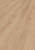 D80592 Дуб Норфолк