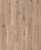 D51037 Дуб Ормонд