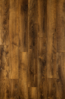 CXC160-2 Дуб Вековой