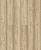 D50917 Дуб Риден