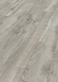 4797 Дуб горный серебристый