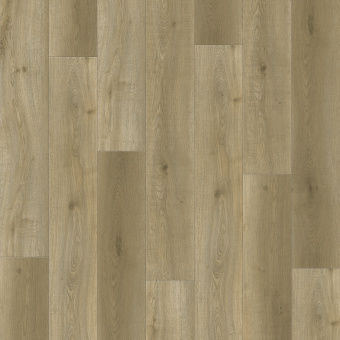 8674 Дуб Селестра