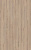 80032 Дуб Аризона бежевый
