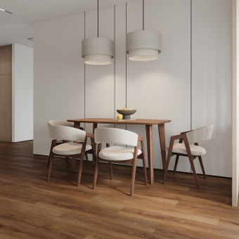 6244 Дуб Веларус античный