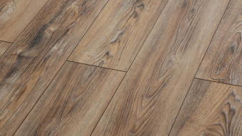  LM-07  Дуб Рим / Rome Oak