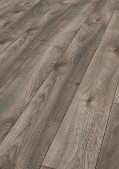 4792 Дуб серый Макро